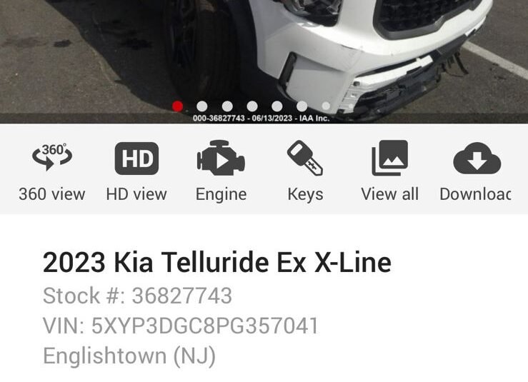 Kia Telluride Ex X-Line